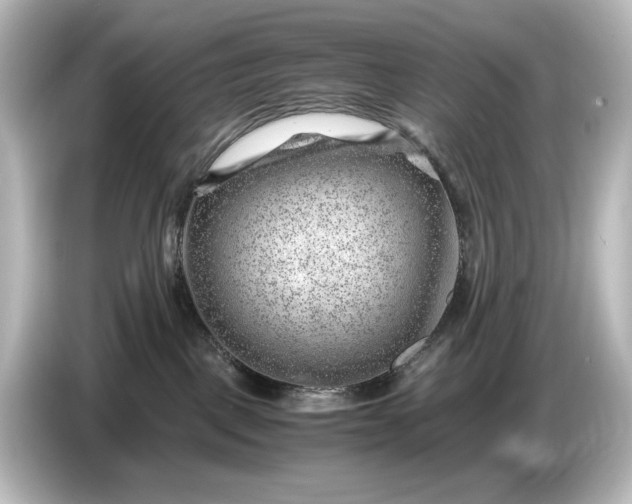 X0000087050093200705021205