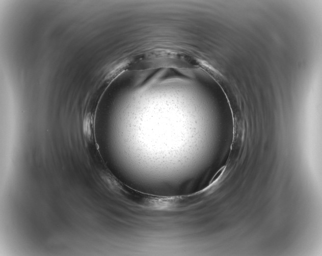 X0000087050094200705021205