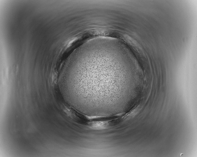 X0000087050096200705021205