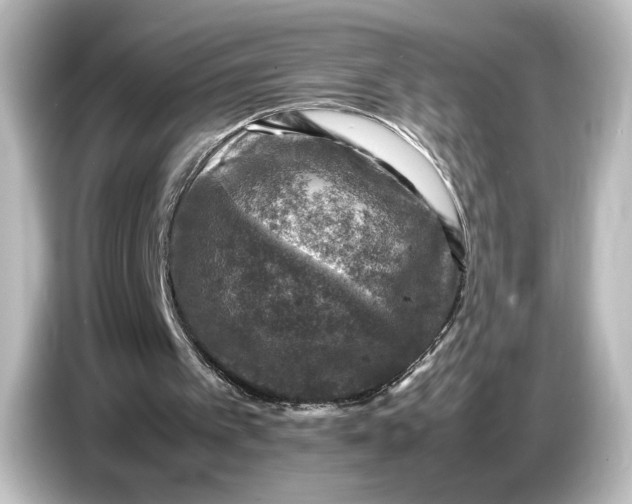 X0000087050097200705021204