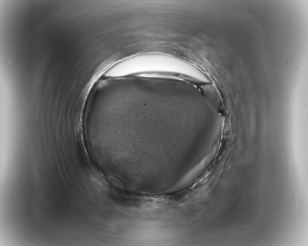 X0000087050099200705021204