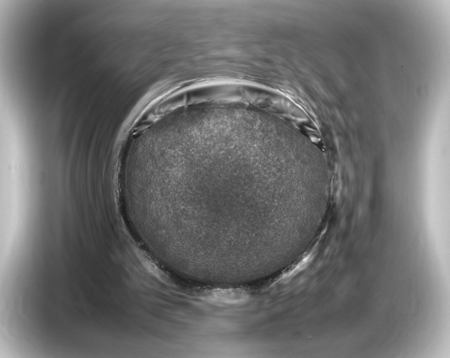 X0000087050101200705021204