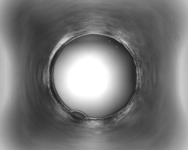 X0000087050102200705021204