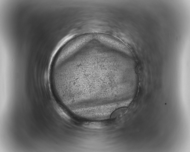 X0000087050104200705021204