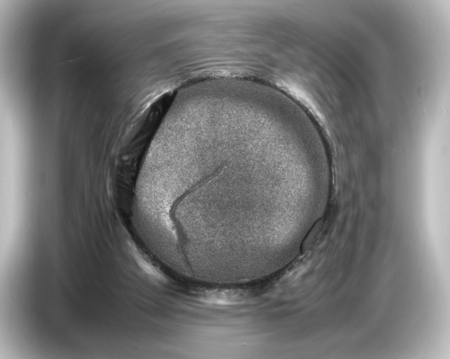 X0000087050105200705021204