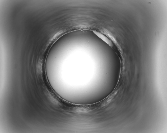 X0000087050106200705021204