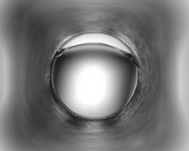 X0000087050107200705021204