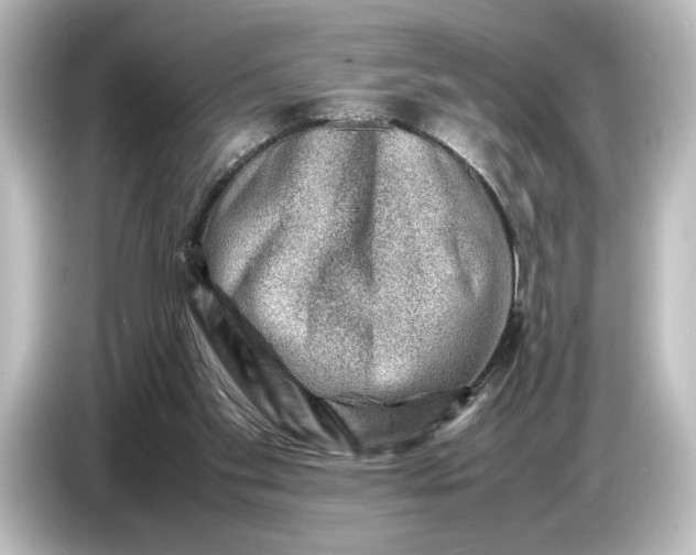 X0000087050109200705021204