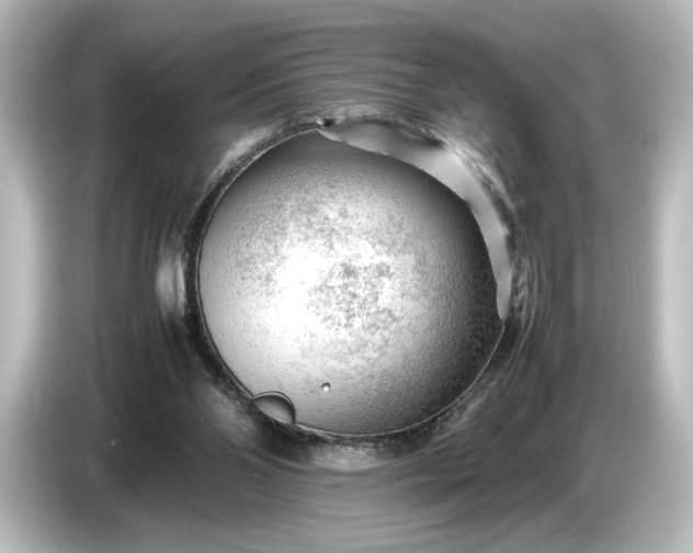 X0000087050110200705021204