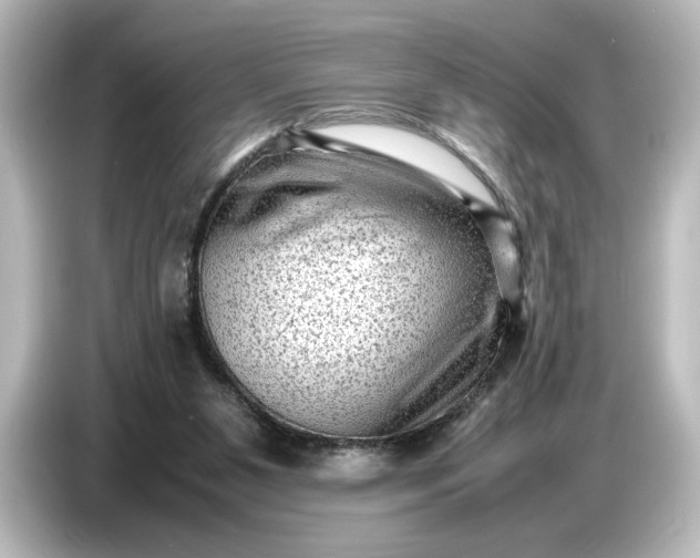 X0000087050111200705021204