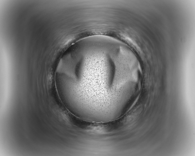 X0000087050113200705021204