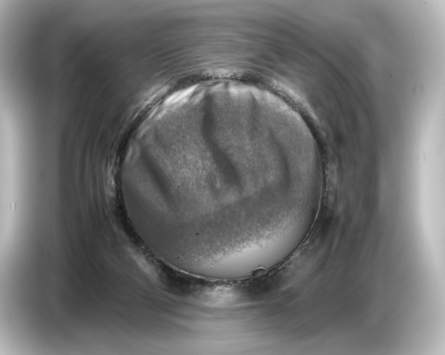 X0000087050114200705021204