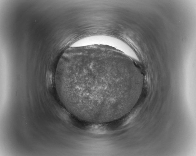 X0000087050117200705021204