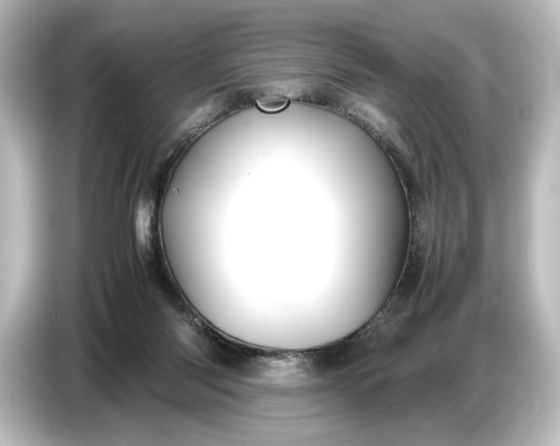 X0000087050118200705021204