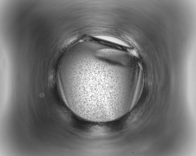 X0000087050119200705021204