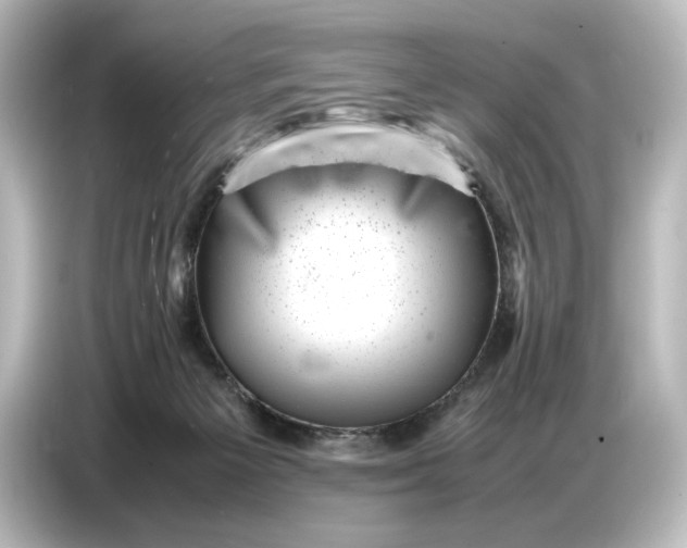 X0000087050125200705021204