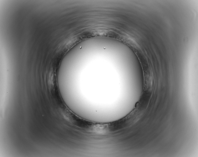 X0000087050126200705021204