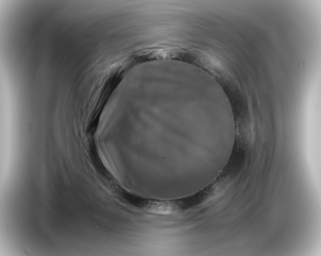 X0000087050127200705021204