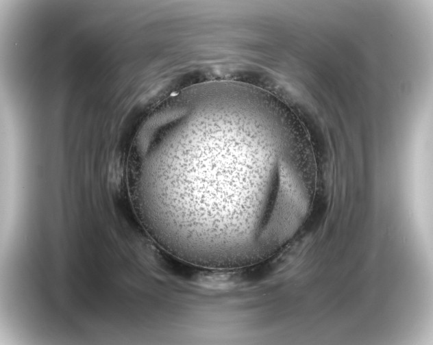 X0000087050129200705021204