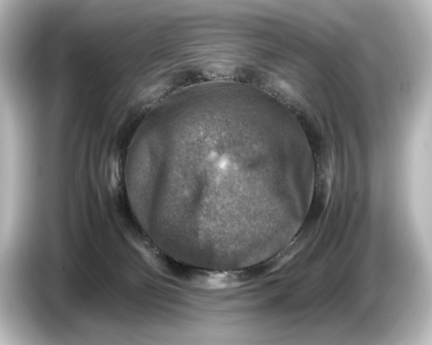 X0000087050130200705021204