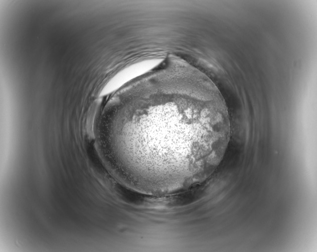 X0000087050131200705021204