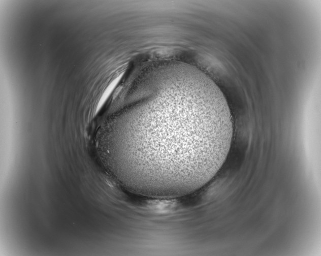 X0000087050135200705021204