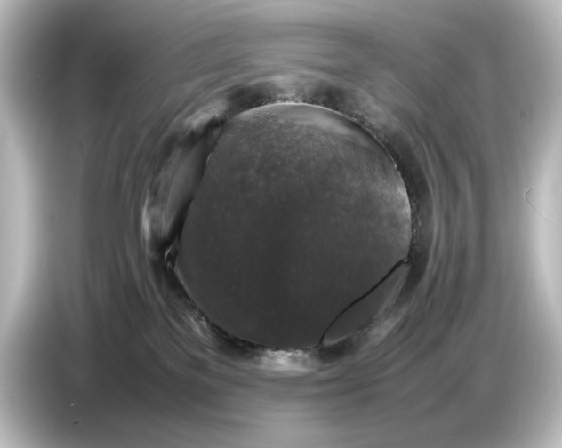 X0000087050137200705021204