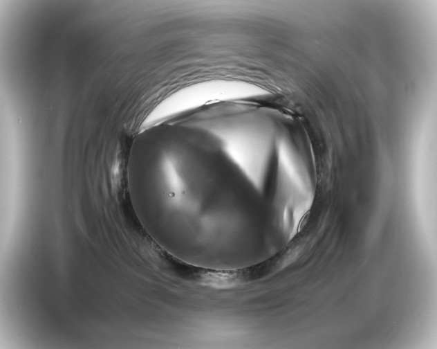 X0000087050139200705021204