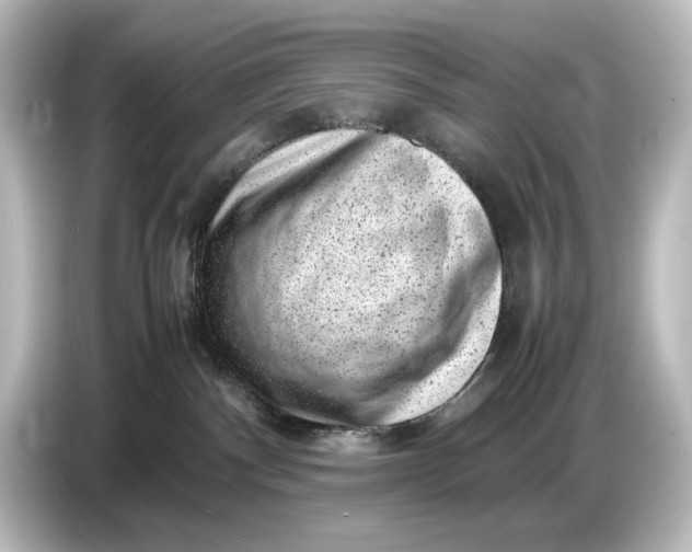 X0000087050140200705021204