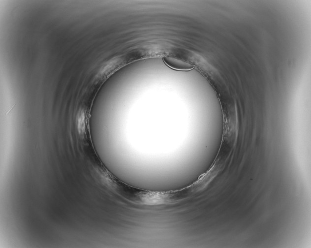 X0000087050142200705021204