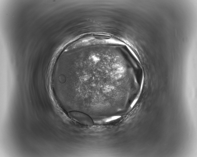 X0000087050145200705021203