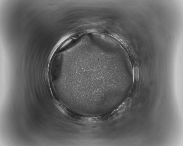 X0000087050147200705021203