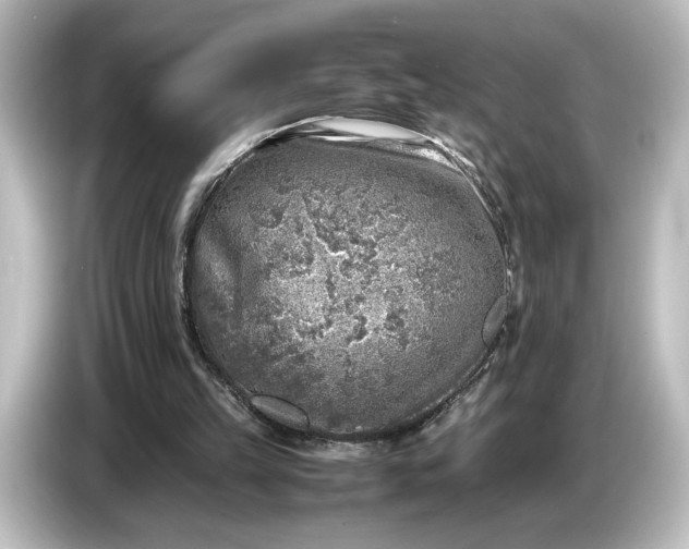 X0000087050149200705021203