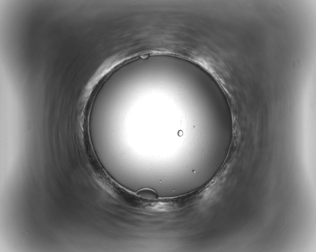 X0000087050151200705021203