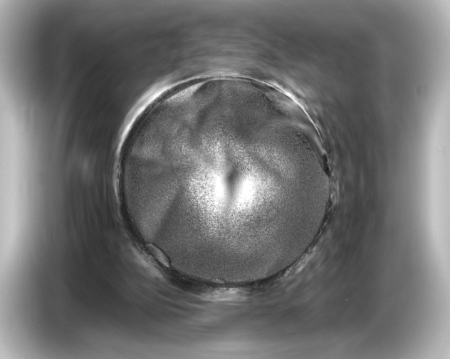 X0000087050152200705021203