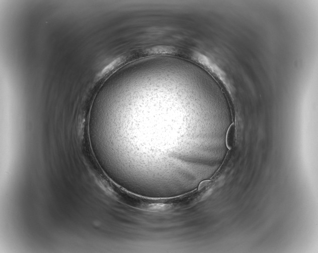 X0000087050153200705021203