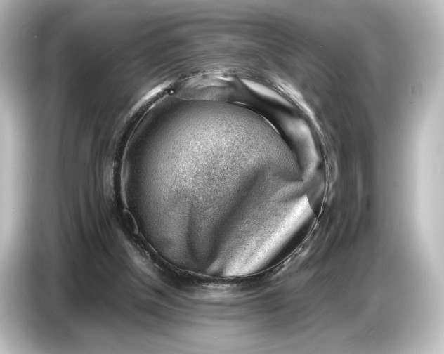 X0000087050154200705021203