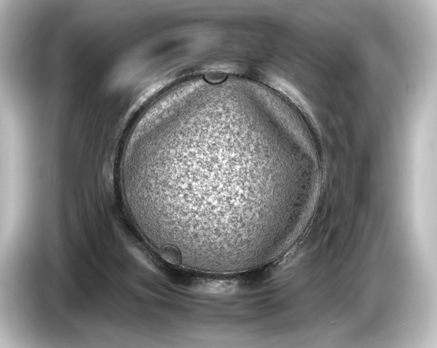 X0000087050155200705021203