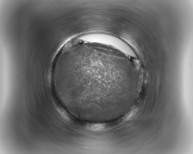 X0000087050156200705021203