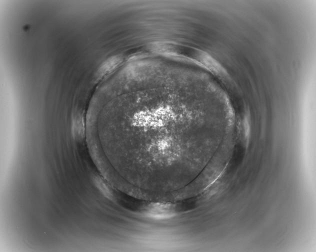 X0000087050158200705021203