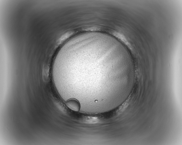 X0000087050159200705021203