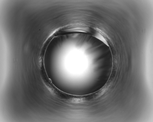 X0000087050160200705021203