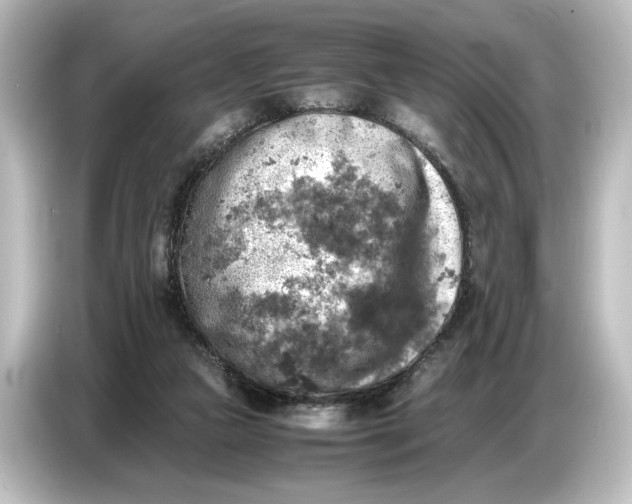 X0000087050161200705021203