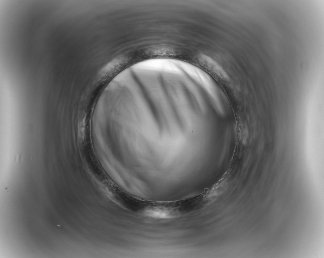 X0000087050163200705021203