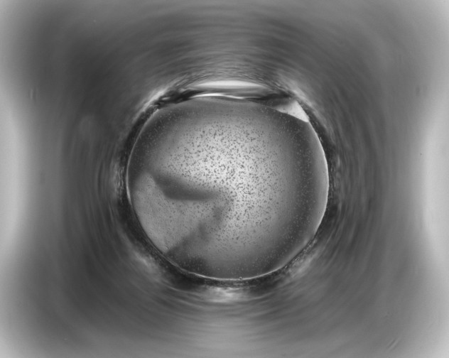 X0000087050164200705021203