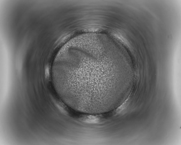 X0000087050166200705021203