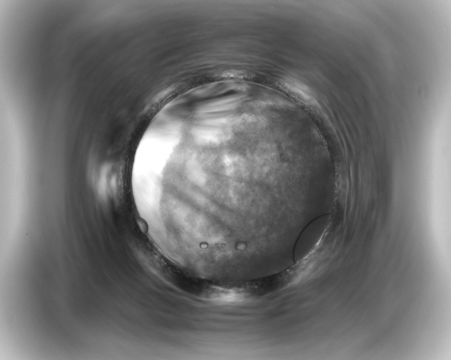 X0000087050167200705021203