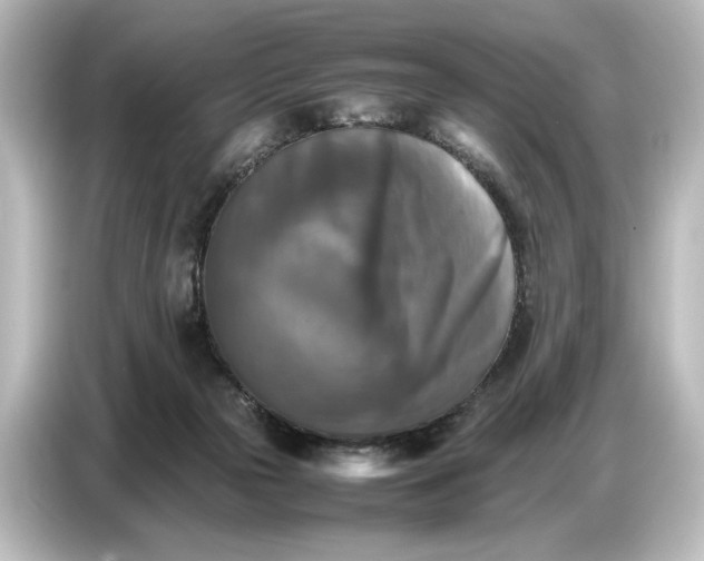 X0000087050169200705021203