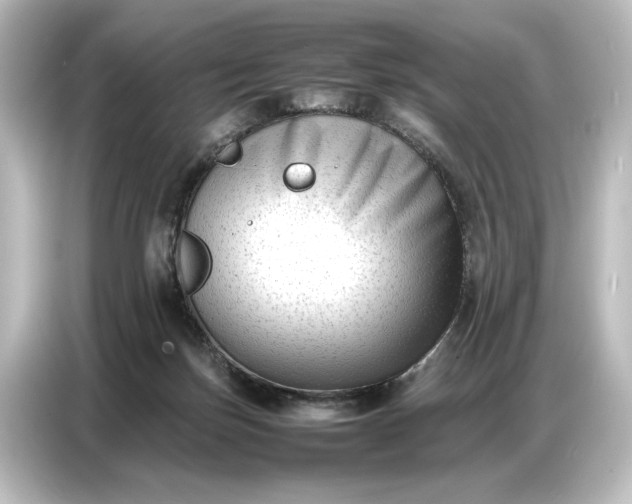 X0000087050171200705021203