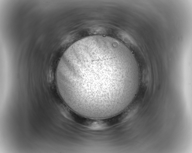 X0000087050173200705021203